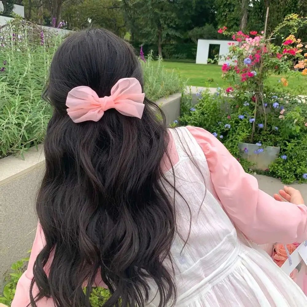 别惹猫咪：追捕虐猫者